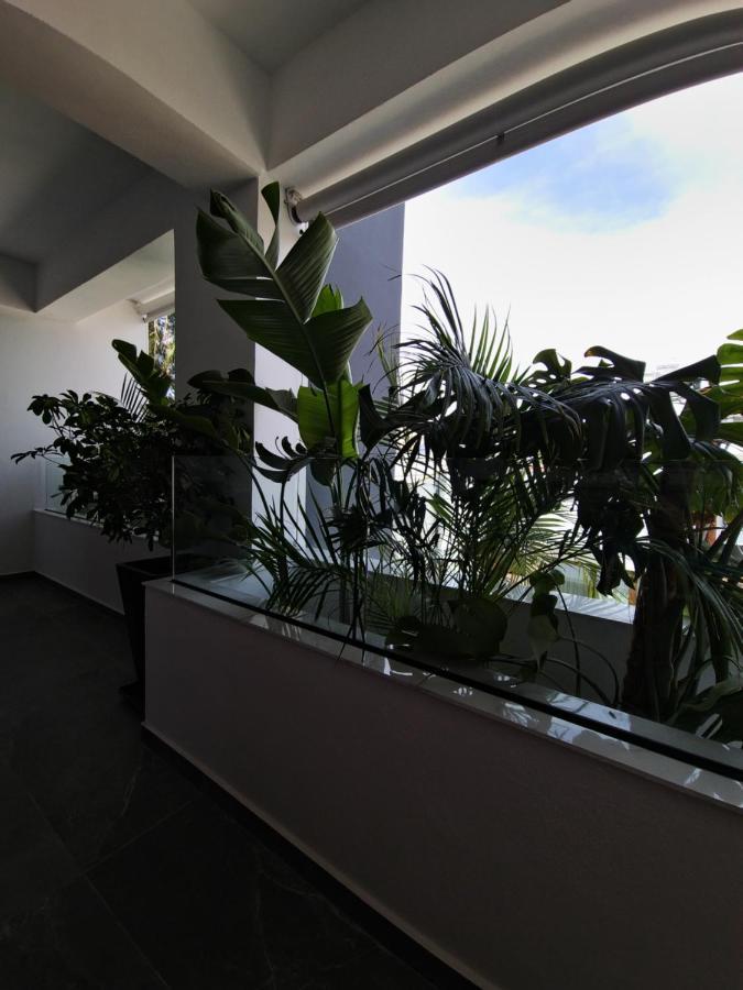 לרנקה Carisa Deluxe Apartment With Jacuzzi מראה חיצוני תמונה
