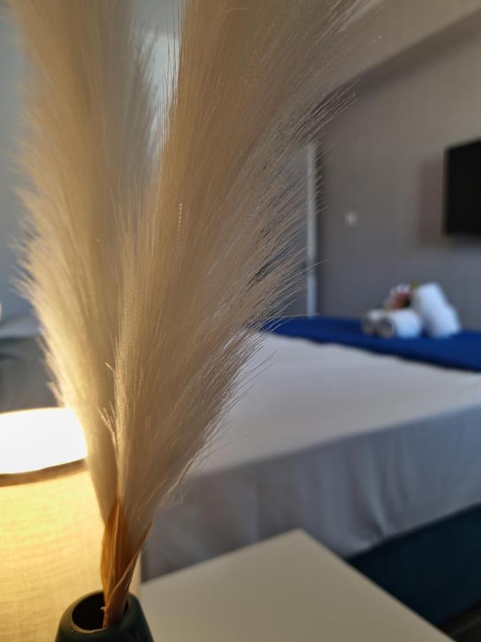 לרנקה Carisa Deluxe Apartment With Jacuzzi מראה חיצוני תמונה